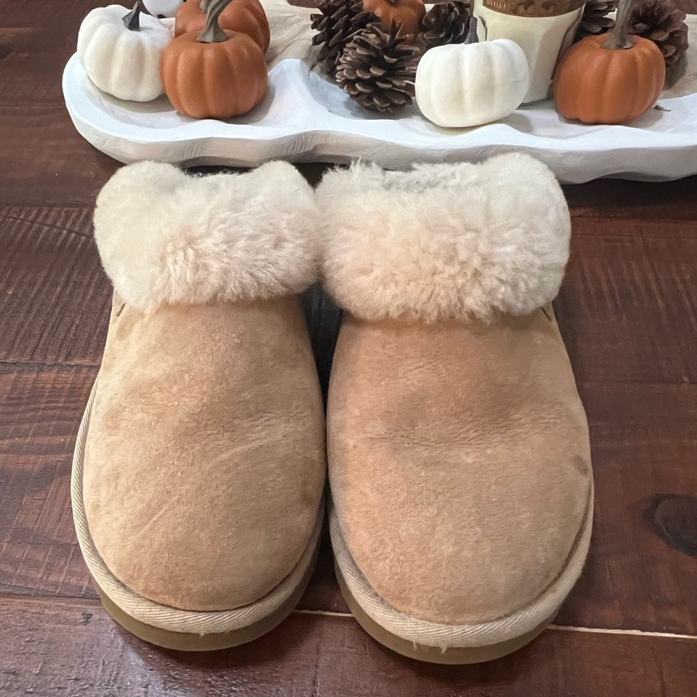 Ugg Slippers
